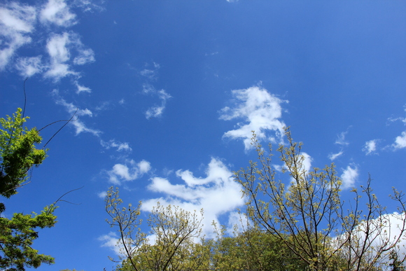 c0272958_10562691.jpg