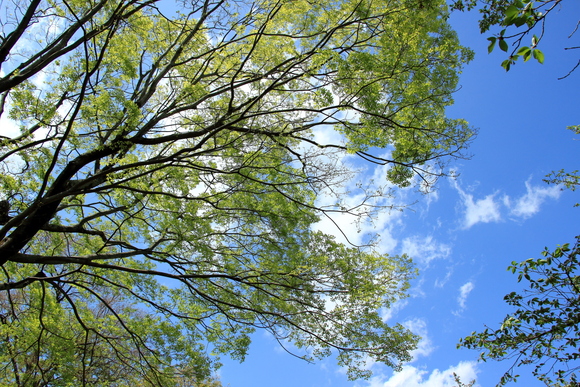 c0272958_10564416.jpg