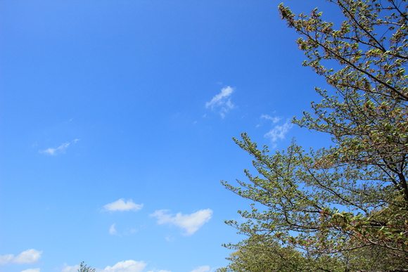 c0272958_1056968.jpg