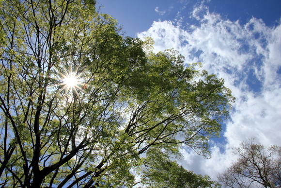 c0272958_1057132.jpg