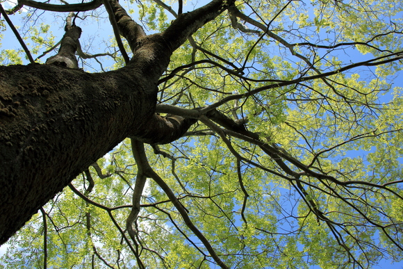 c0272958_1057140.jpg