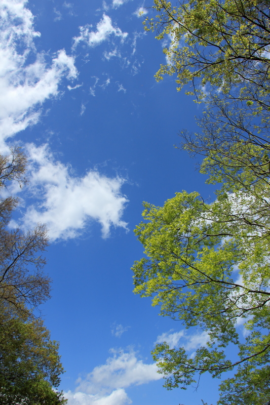 c0272958_1057275.jpg