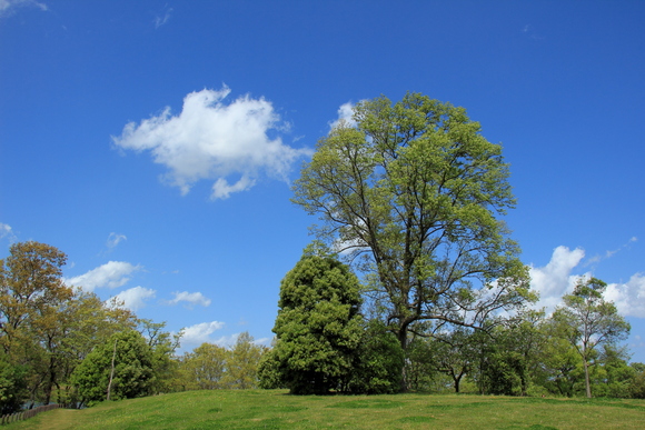c0272958_10574244.jpg