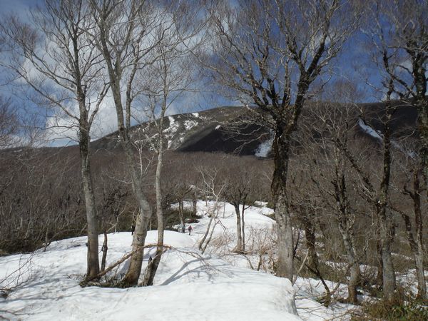 c0294658_21403725.jpg