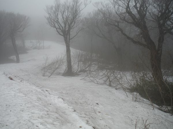 c0294658_22554453.jpg