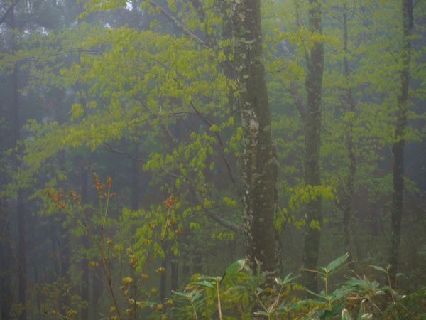 c0294658_23031801.jpg