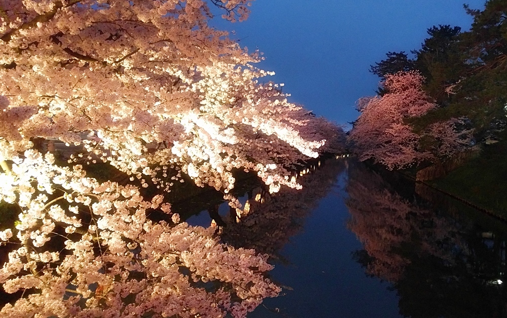 たぶん、日本一の桜 　弘前その３_d0039059_21424928.jpg