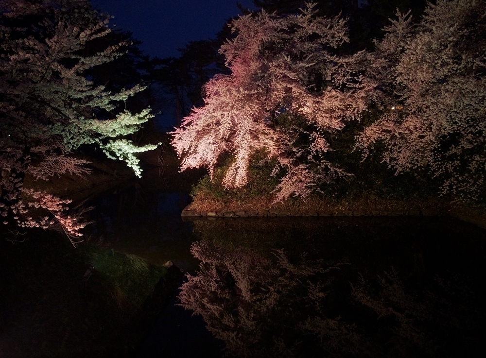 たぶん、日本一の桜 　弘前その３_d0039059_21444205.jpg