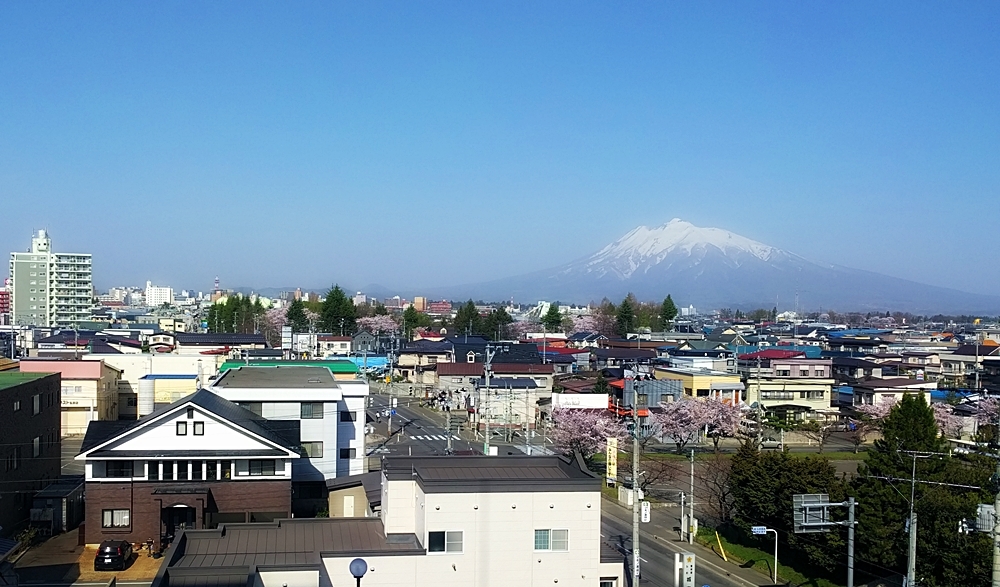 たぶん、日本一の桜 　弘前その３_d0039059_21520570.jpg