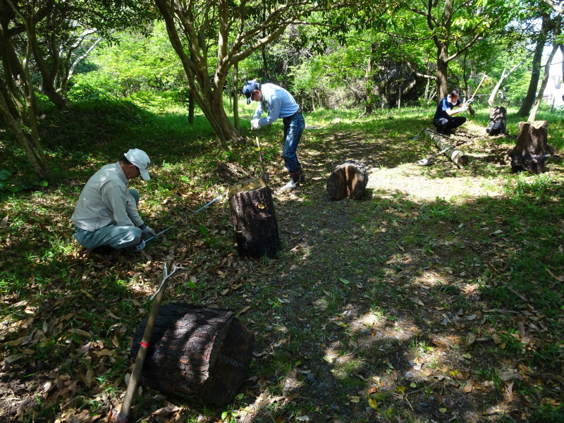 丸太平均台完成　in　うみべの森_c0108460_22524699.jpg