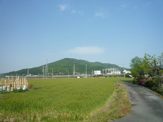 f0032265_21472780.jpg
