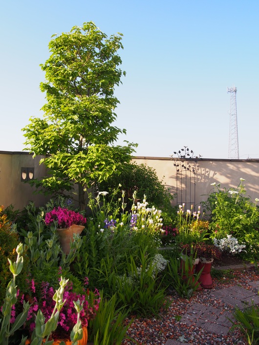 b0194267_0452175.jpg