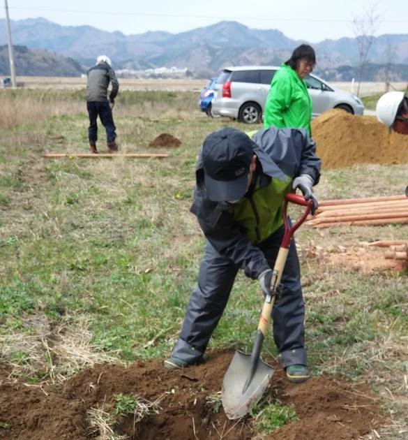 宮城県石巻市 被災地を再びサクラ色に_d0259876_1815118.jpg