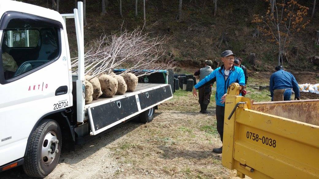 宮城県石巻市 被災地を再びサクラ色に_d0259876_1831980.jpg