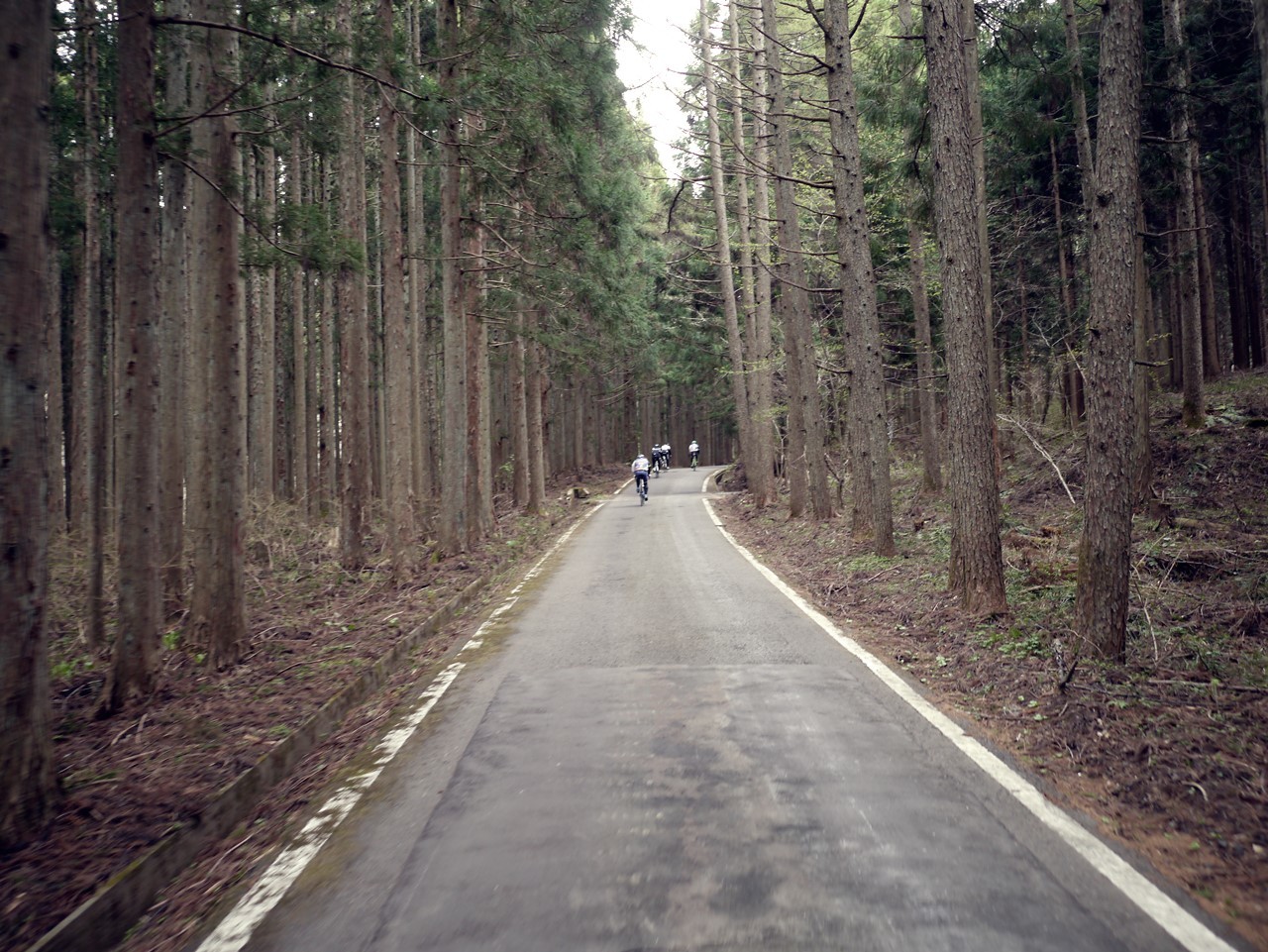 猪苗代　観音寺川桜並木_e0167780_21423619.jpg