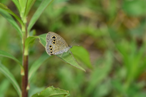 f0348480_1531593.jpg
