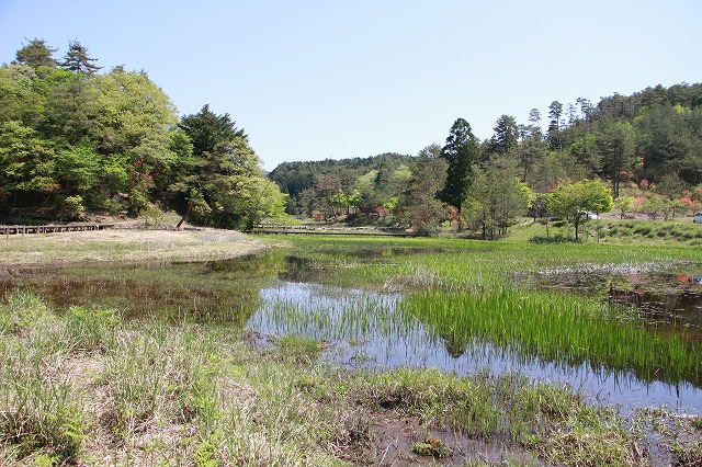 黒沢湿原 徳島県のトンボ観察記