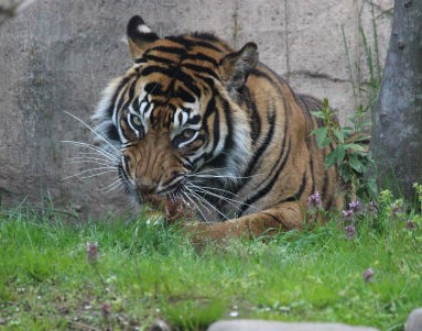 八木山動物公園へ行って思ったこと_f0297893_17285355.jpg