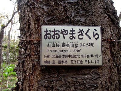 artigana-gのSAPPORO・21_b0055196_21432989.jpg