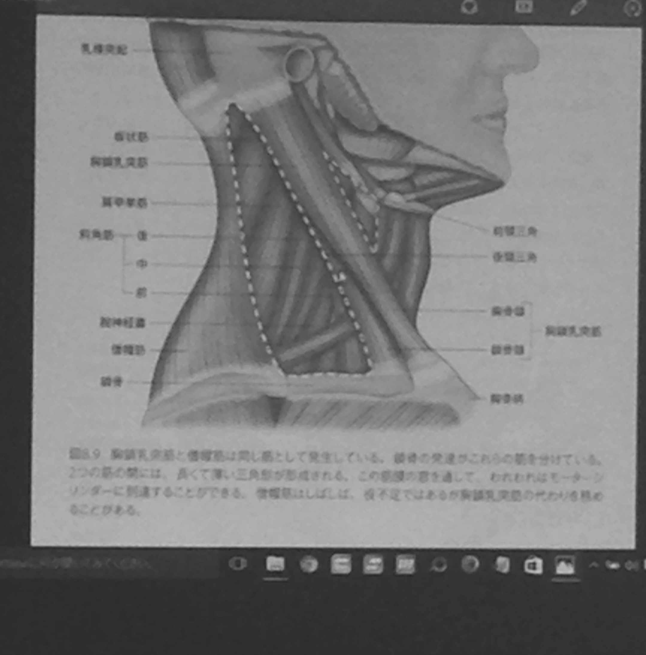 d0157497_21221459.jpeg