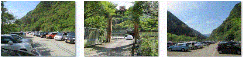 f0231709_104395.gif