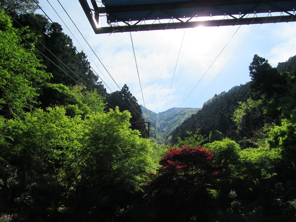 f0231709_11332928.jpg