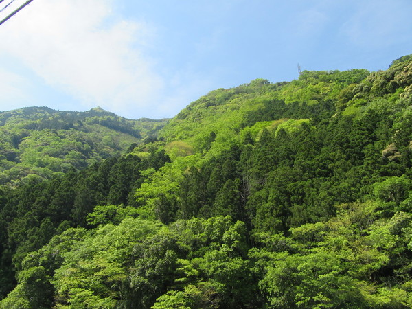 f0231709_9543715.jpg