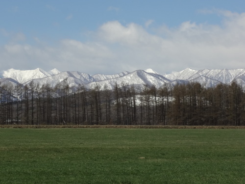 b0283211_21031783.jpg