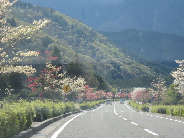f0248616_21303340.jpg