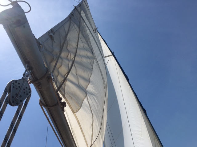 城ヶ島一周セーリング_e0208519_14475266.jpg