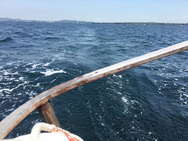 城ヶ島一周セーリング_e0208519_1459744.jpg