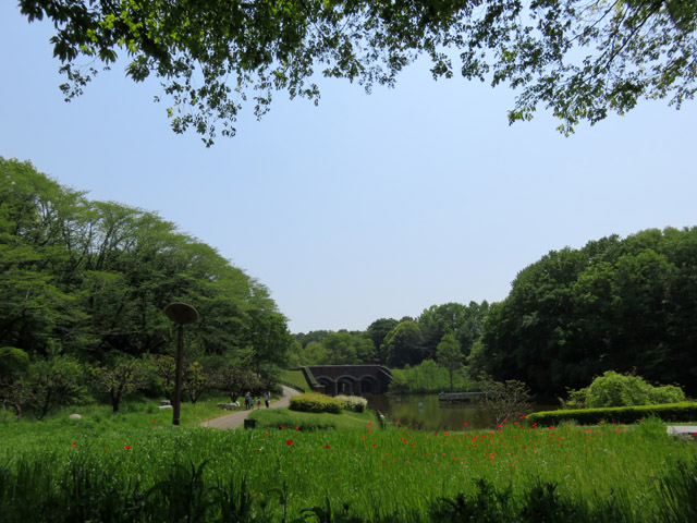 茨城県自然博物館....坂東市_f0103534_8181871.jpg