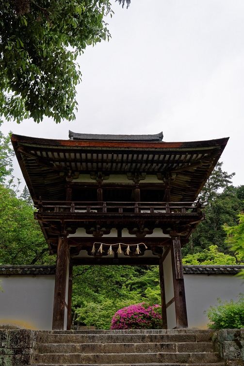 f0274536_1365837.jpg