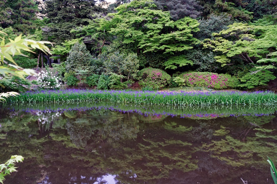 f0274536_1372634.jpg