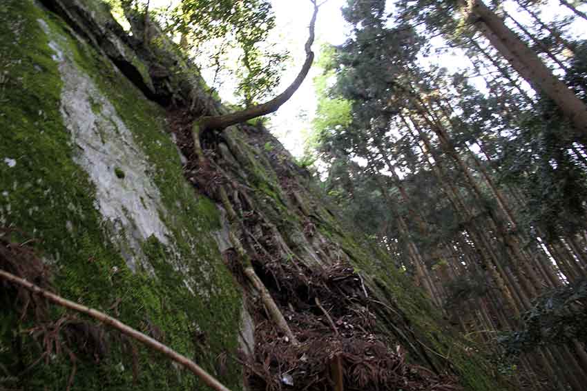 マジェスティー125でミニツーリング♪杖立峠と石尾神社-03♪_d0058941_20595622.jpg