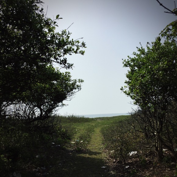 c0312349_17501772.jpeg