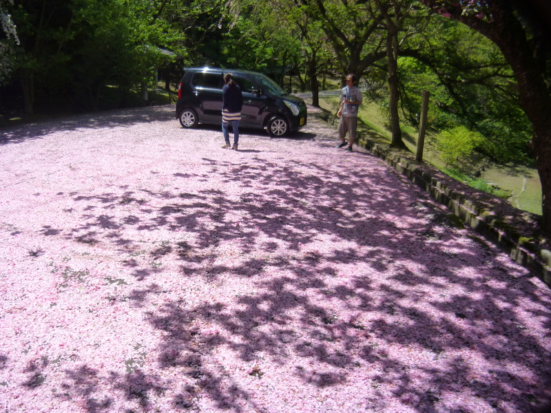 d0163151_11164027.jpg