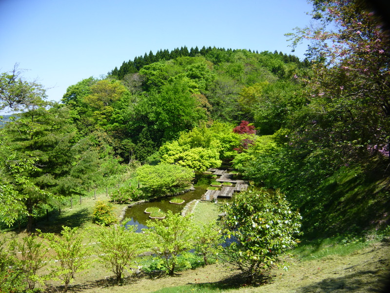 d0163151_11175158.jpg