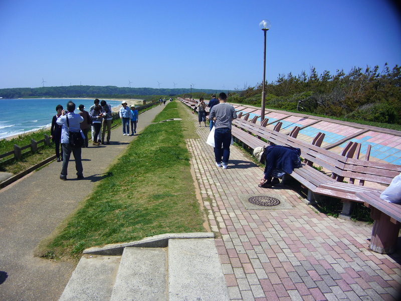 d0163151_114643100.jpg
