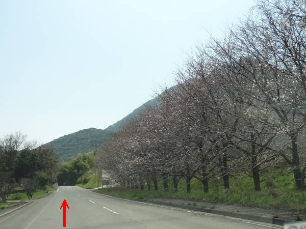 e0033751_1845681.jpg