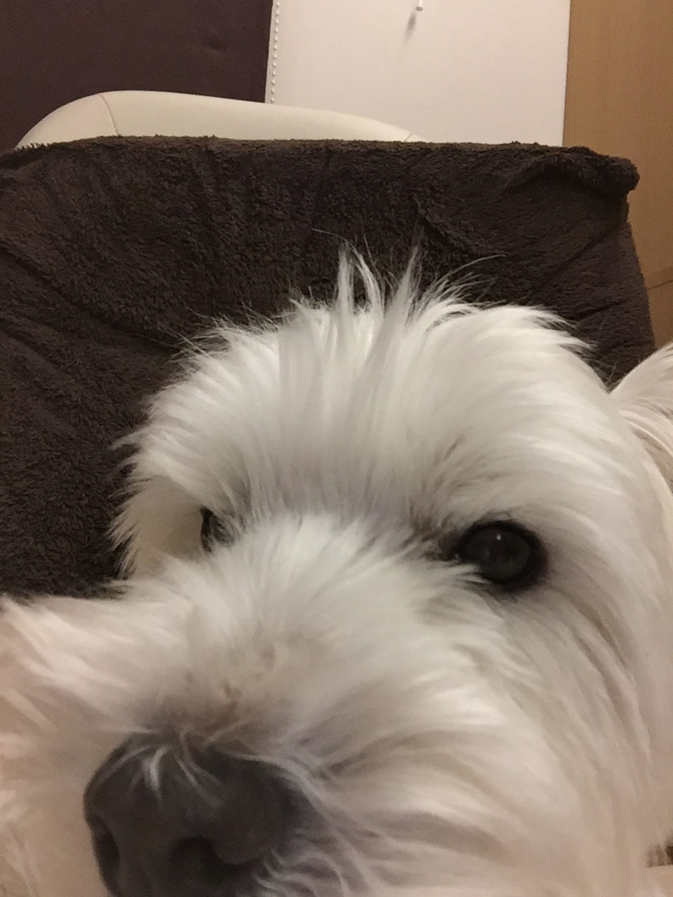 a0337860_20295328.jpeg