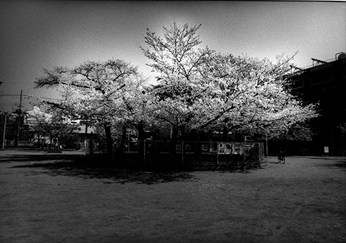 d0253060_21574649.png