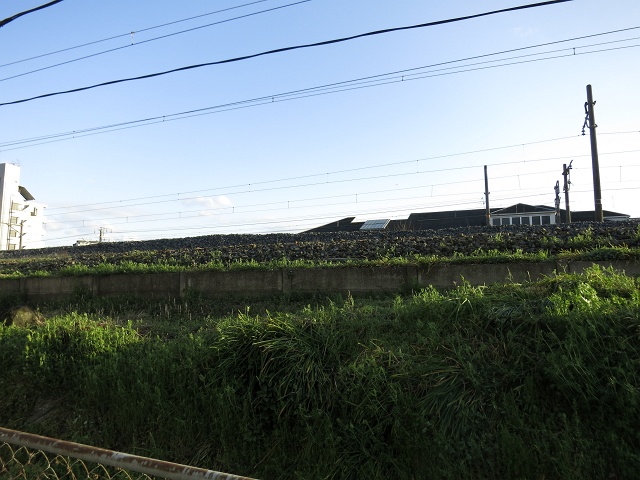 b0095061_16172833.jpg
