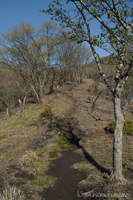 c0246261_23341723.jpg