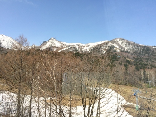 春の北海道〜富良野、美瑛から札幌_e0195766_21051442.jpeg