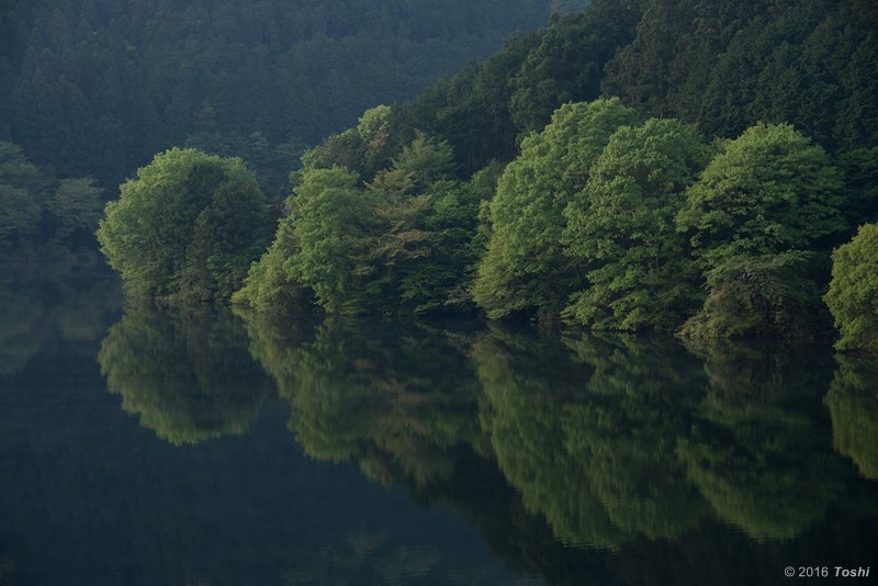 哀愁の室生湖_c0350572_22145681.jpg