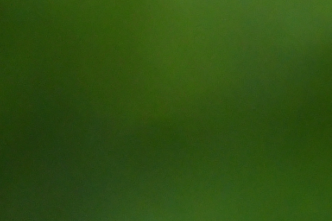 f0053272_14563157.jpg