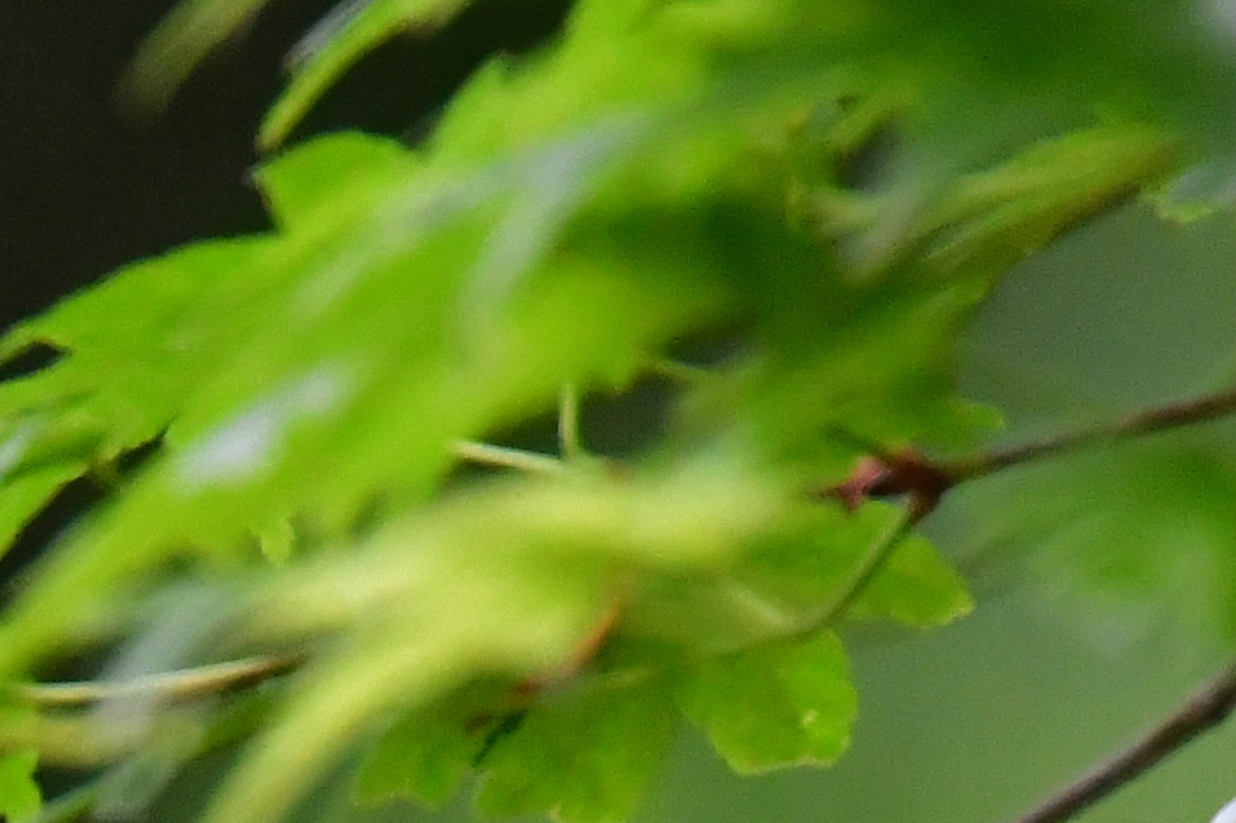 f0053272_14572416.jpg