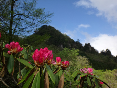 再び英彦山（福岡県添田町）_d0182075_41378.jpg