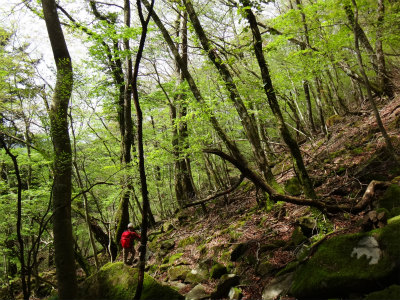 再び英彦山（福岡県添田町）_d0182075_4204640.jpg